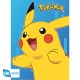Sada plagátov POKÉMON: Colourful Characters  (2 plagáty po 52x38cm)