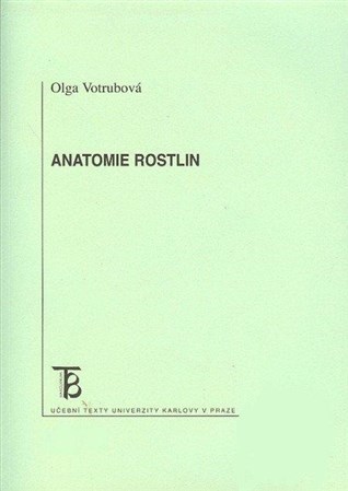 Anatomie rostlin