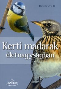 Kerti madarak életnagyságban