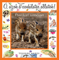 Kniha Ó, azok a csodálatos állatok! Ébredező természet - Ágnes Telegdi