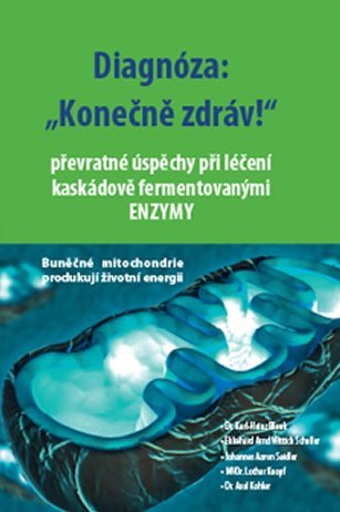 Kniha Diagnóza: Konečně zdráv