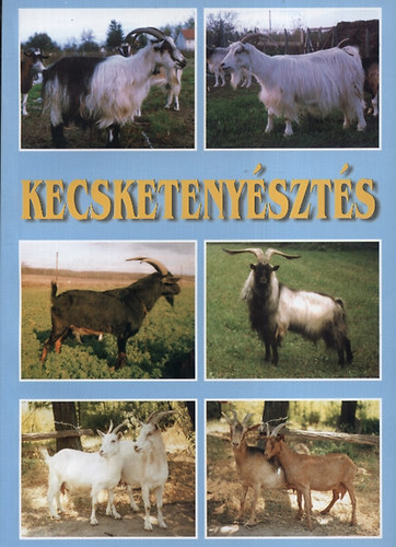 Kecsketenyésztés