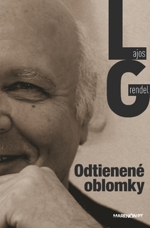 Kniha Odtienené oblomky