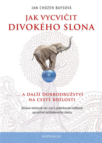 Jak vycvičit divokého slona