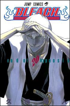 Kniha Bleach 20