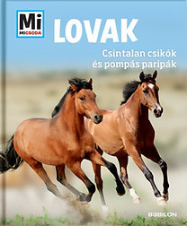 Kniha Lovak - Silke Behling