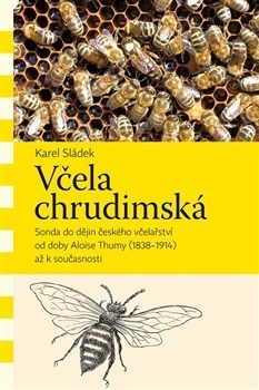 Včela chrudimská
