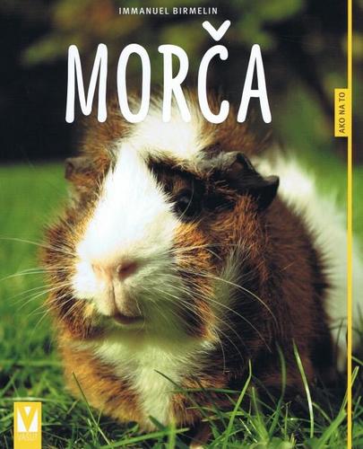 Morča - ako na to