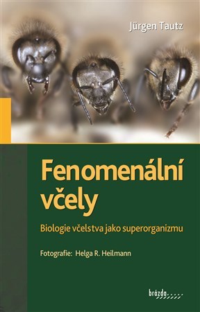 Kniha Fenomenální včely - Jürgen Tautz