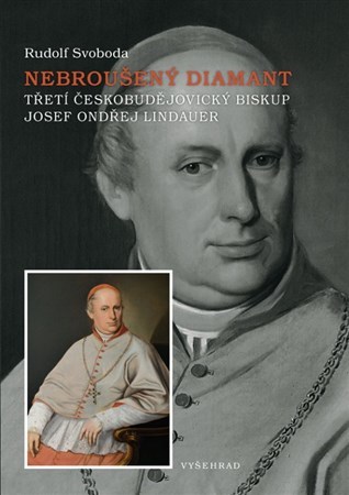 Kniha Nebroušený diamant - Rudolf Svoboda