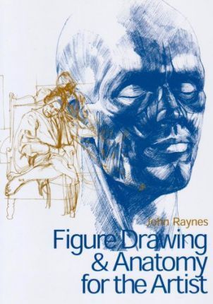 Figure Drawing and Anatomy