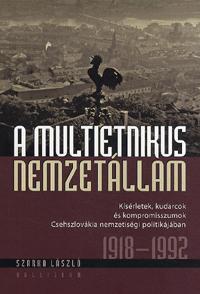 A multietnikus nemzetállam