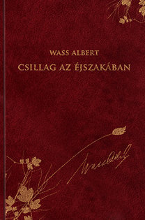 Csillag az éjszakában
