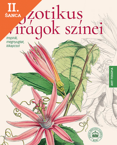 Lacná kniha Egzotikus virágok színei