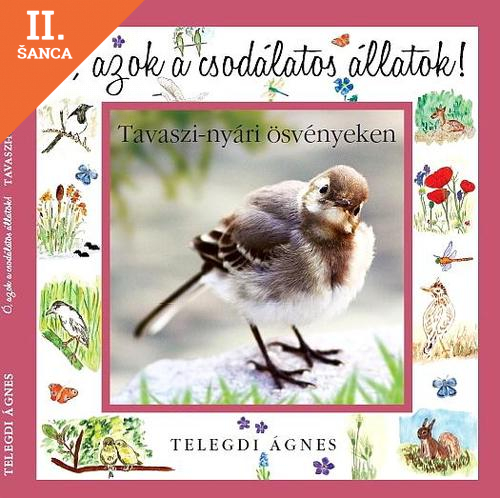 Lacná kniha Ó, azok a csodálatos állatok!