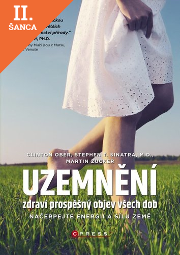 Lacná kniha Uzemnění - zdraví prospěšný objev všech dob