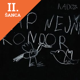 Lacná kniha Čáp nejni kondor