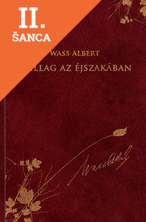 Lacná kniha Csillag az éjszakában