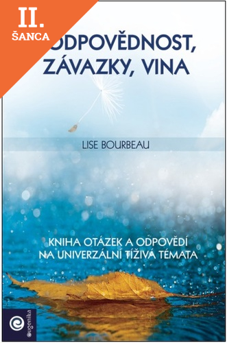 Lacná kniha Zodpovědnost, závazky, vina