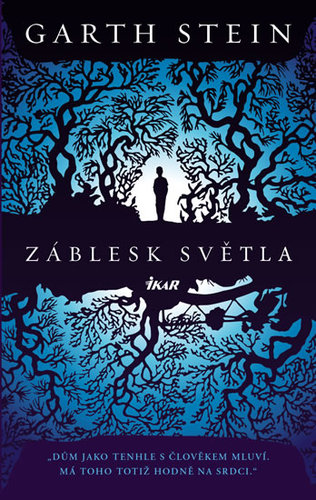 Kniha Záblesk světla - Garth Stein