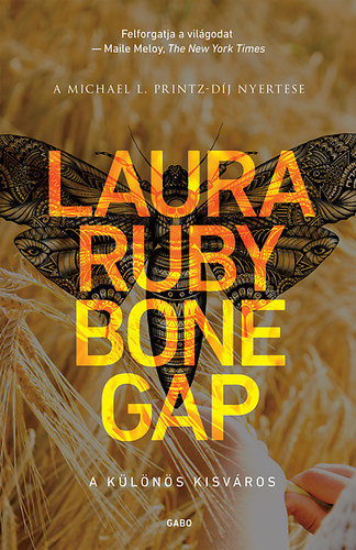 Kniha Bone Gap - A különös kisváros - Laura Ruby