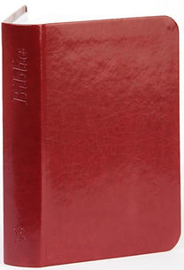 Biblia (bordó - egyszerű) - Újonnan revideált Károli