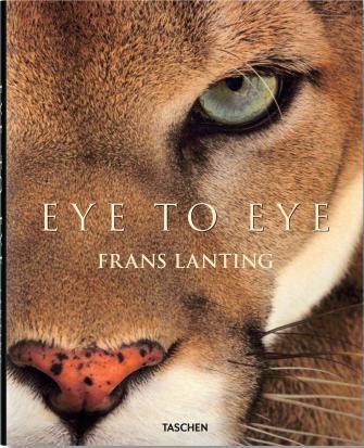 Eye to Eye, Lanting
