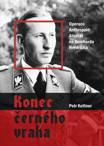 Kniha Konec černého vraha - Petr Kettner