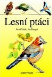 Kniha Lesní ptáci - Jan Dungel