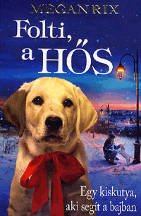 Kniha Folti, a hős - Megan Rixová