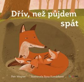 Dřív, než půjdem spát - Petr Wagner,Ilona Komárková