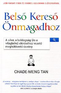 Belső kereső önmagadhoz - Tan Chade-Meng