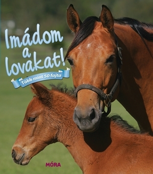 Imádom a lovakat!
