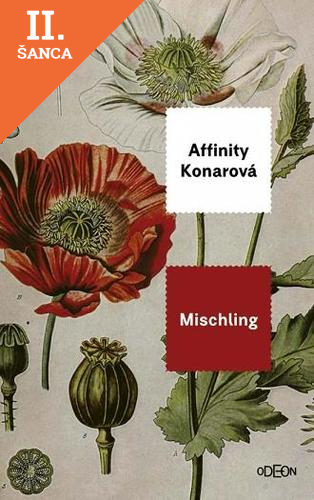 Lacná kniha Mischling