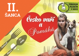 Lacná kniha Česko vaří a pomáhá