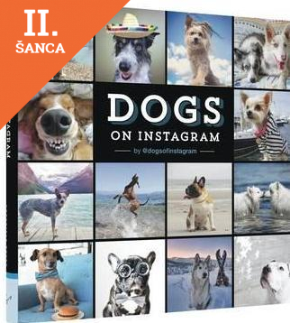 Lacná kniha Dogs On Instagram