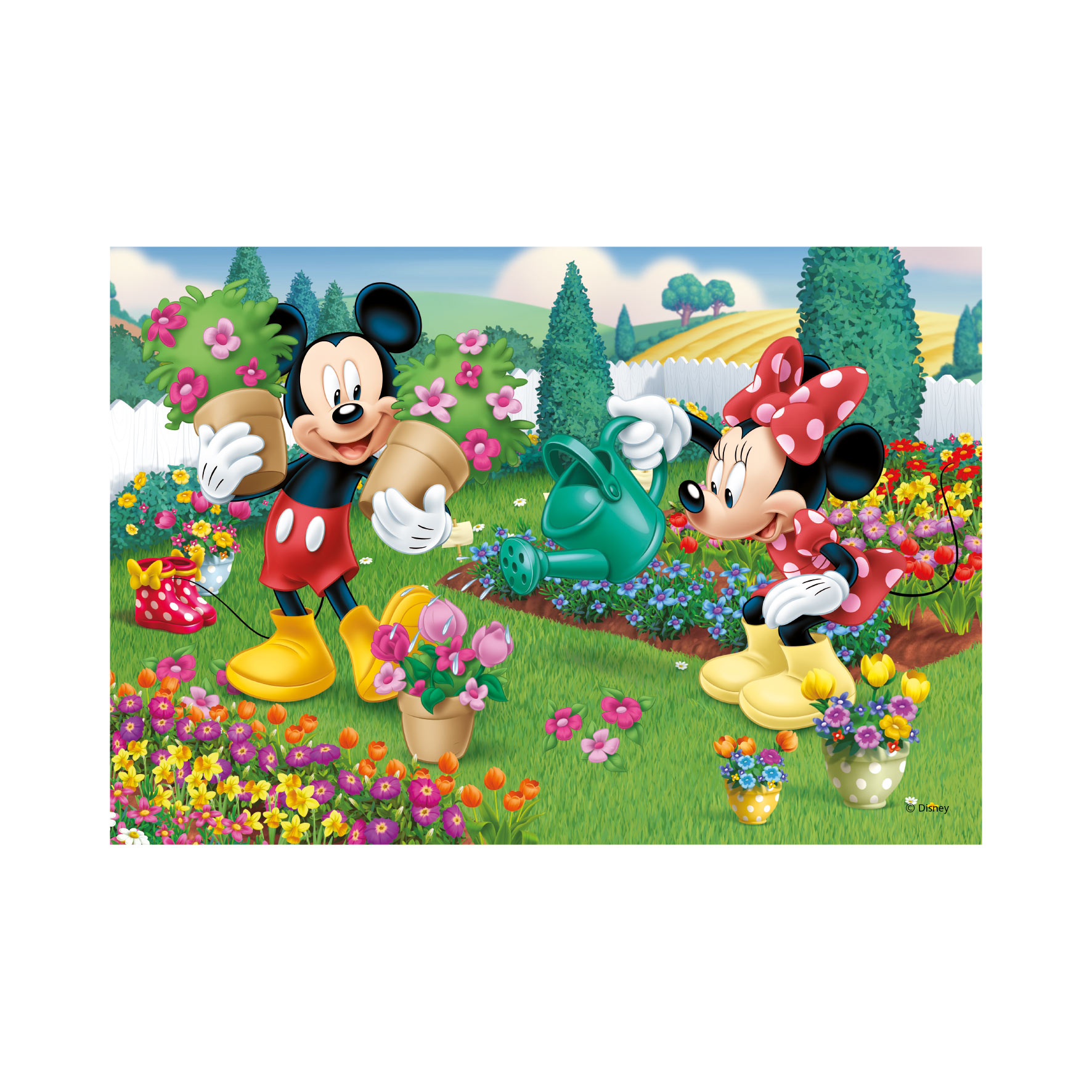 Puzzle Pracovitá Minnie 2x77 Dino