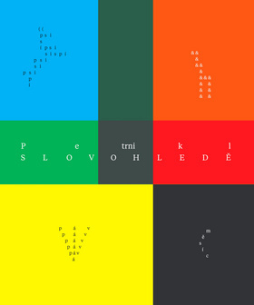 Kniha Slovohledě - Petr Nikl