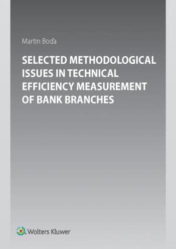 Selected Methodological Issues in Technical Efficiency Measurement of Bank Branches