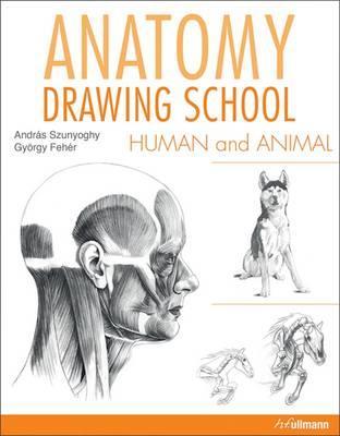 Anatomy Drawing School Human and Animal