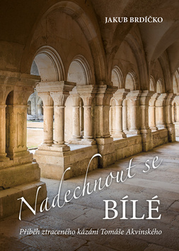 Nadechnout se bílé - Jakub Brdíčko