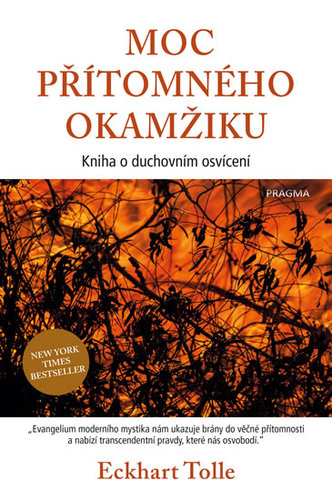 Moc přítomného okamžiku - 2.vydání