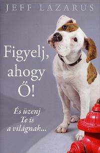 Kniha Figyelj, ahogy Ő! - Jeff Lazarus