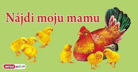 Kniha Nájdi moju mamu (SK)