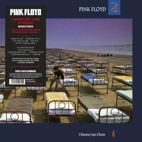 Kniha Pink Floyd - A Momentary Lapse Of Reason (2011 Remastered) LP