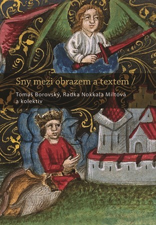 Kniha Sny mezi obrazem a textem - Radka Miltová