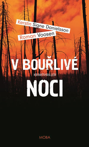 V bouřlivé noci - Roman Voosen,Kerstin Signe Danielsson