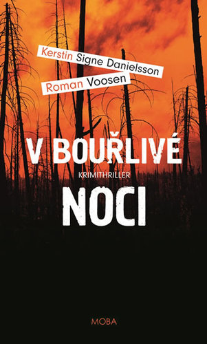 Kniha V bouřlivé noci - Roman Voosen,Kerstin Signe Danielsson