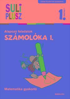 Számolóka 1. - Alapozó feladatok - Matematika gyakorló