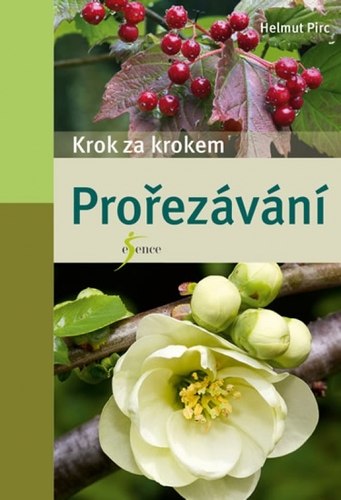 Prořezávání